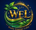 WAILY ENERGY LABS